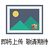 TA型煉油安全閥TA型